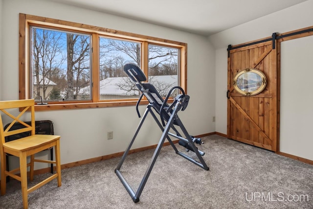 exercise area featuring a barn door and carpet flooring