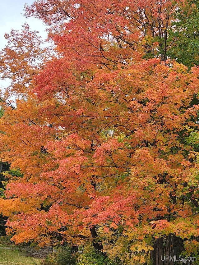 view of nature