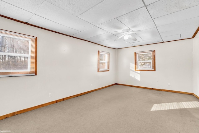 unfurnished room featuring crown molding, a paneled ceiling, light colored carpet, and ceiling fan