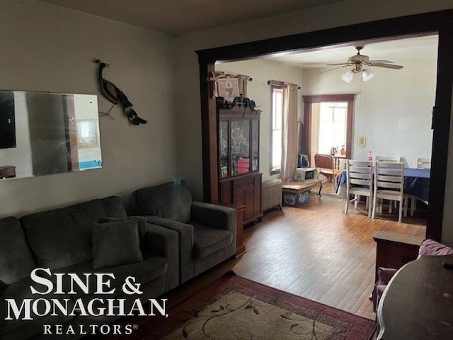 living room with ceiling fan, radiator, and hardwood / wood-style floors