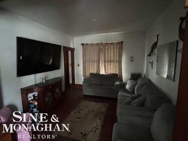 living room with radiator