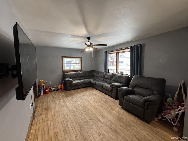 living room with ceiling fan and light wood-type flooring