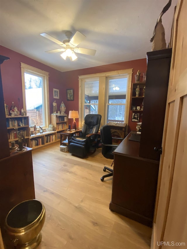 home office with ceiling fan and light hardwood / wood-style flooring