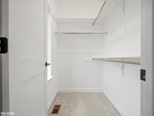 spacious closet with light colored carpet