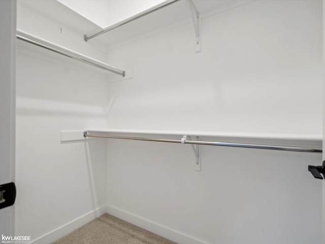 spacious closet featuring light colored carpet