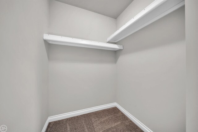 1834 Riley Rd, Saint Clair, MI 48079 - spacious closet featuring carpet flooring