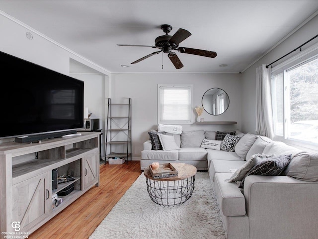 living room featuring ornamental molding, a wealth of natural light, ceiling fan, and light hardwood / wood-style floors