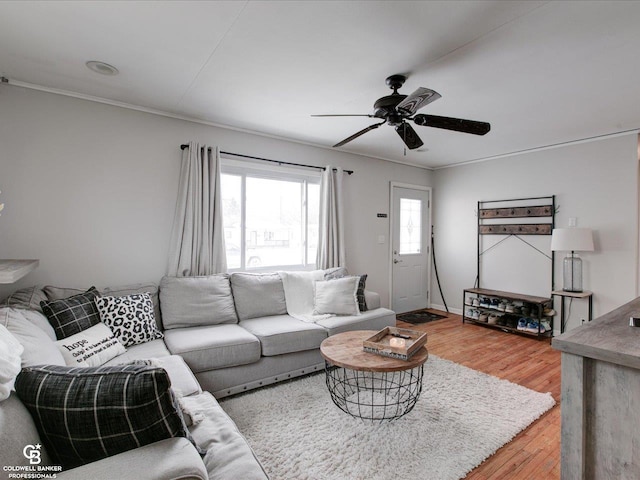 living room featuring ceiling fan, ornamental molding, and hardwood / wood-style floors