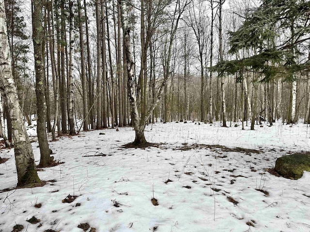 view of snowy landscape