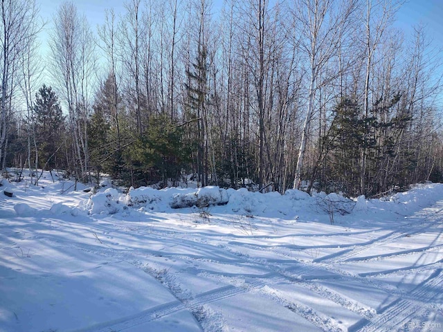 20ACRESCORD Ft Rd, Republic MI, 49814 land for sale