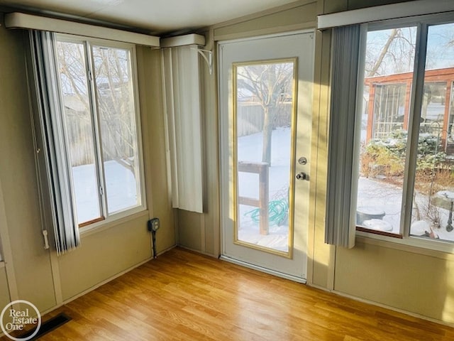 doorway to outside featuring light hardwood / wood-style flooring and a wealth of natural light