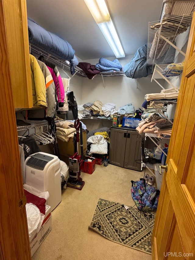 spacious closet with carpet flooring