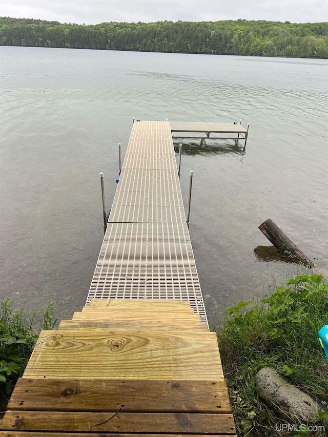 dock area with a water view