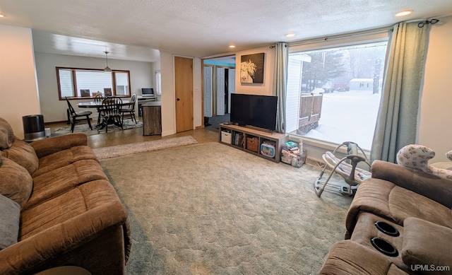 living room with carpet and a textured ceiling