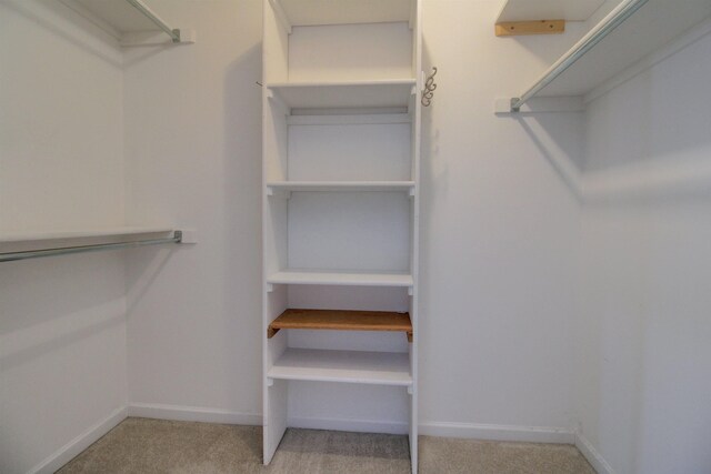 spacious closet with light colored carpet