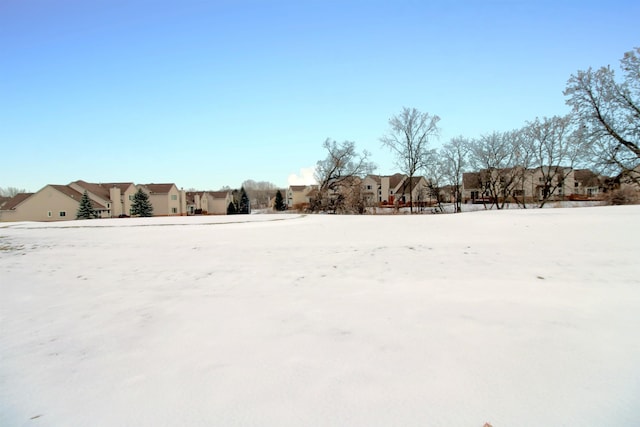 view of yard covered in snow