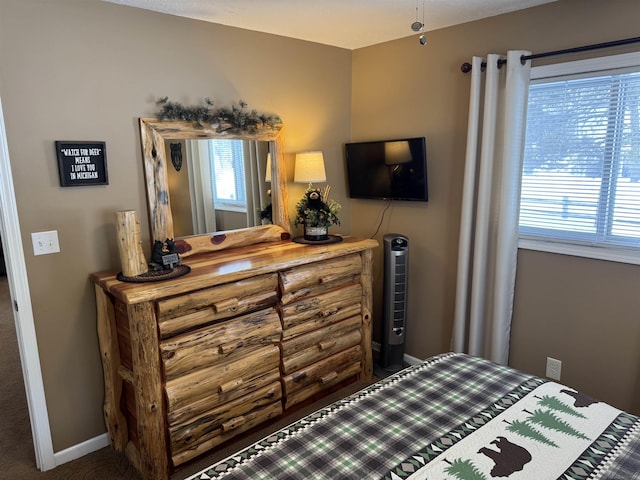 bedroom with multiple windows