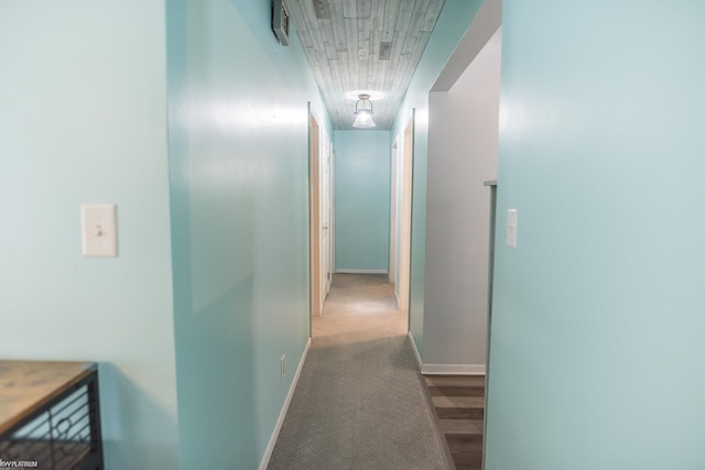 hallway featuring carpet floors