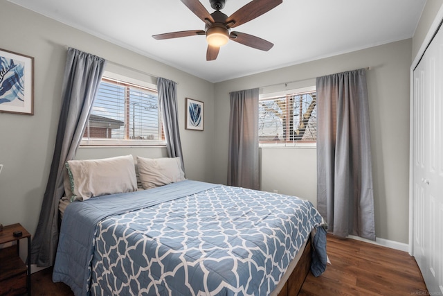 bedroom with dark wood-type flooring, ceiling fan, and a closet