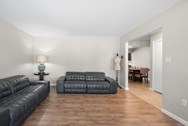 living room featuring hardwood / wood-style floors