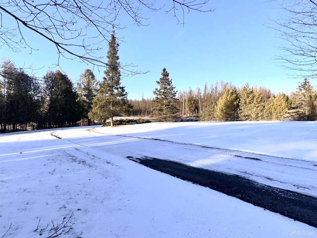 view of yard layered in snow