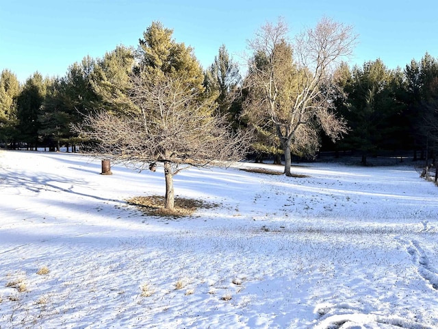 view of snowy yard