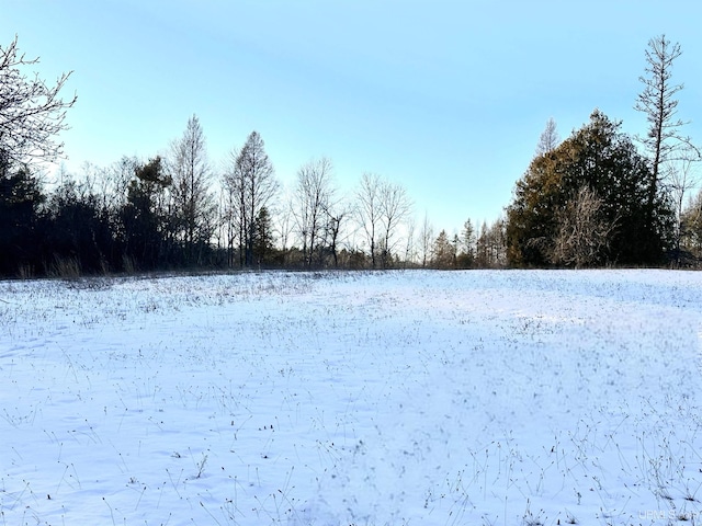 view of snowy yard