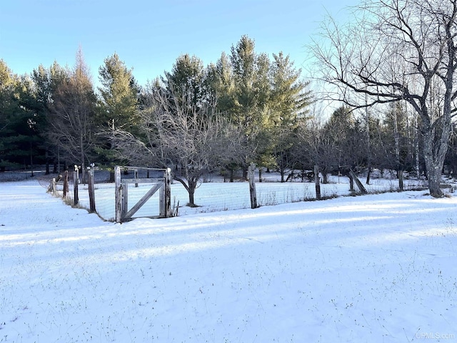 view of yard layered in snow