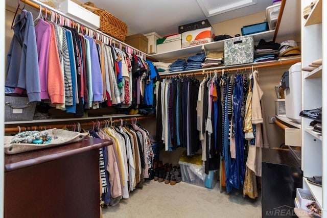 spacious closet with carpet