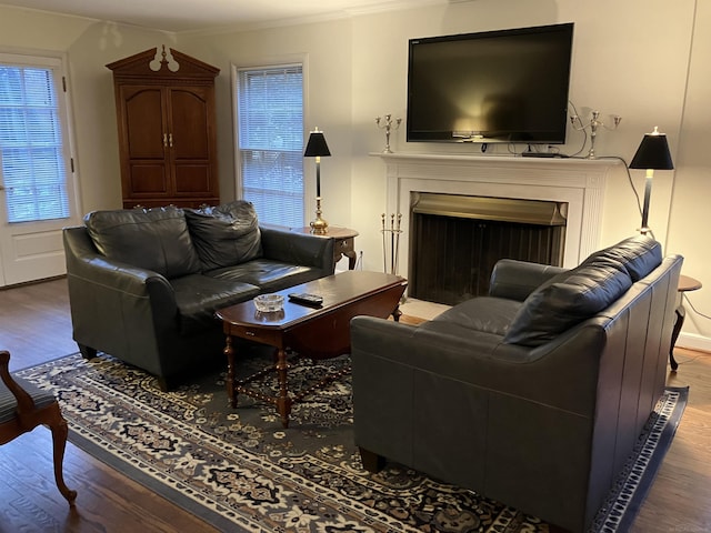 living room with crown molding and wood-type flooring