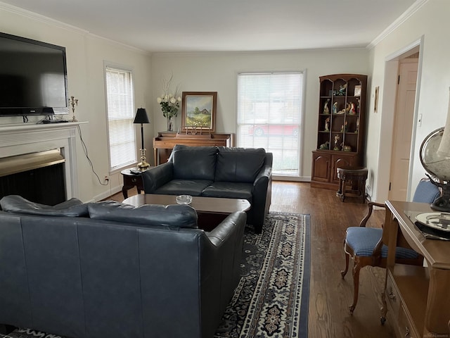 living room featuring dark wood-type flooring and ornamental molding