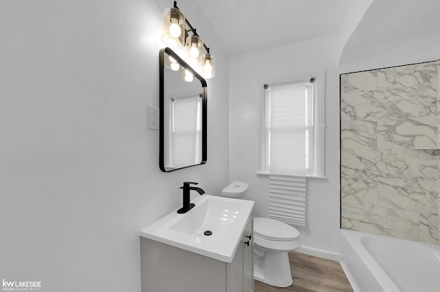 bathroom featuring vanity, hardwood / wood-style flooring, and toilet