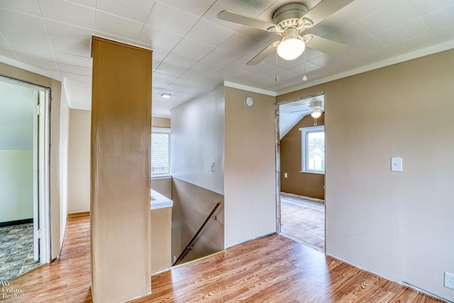 unfurnished room featuring crown molding, ceiling fan, and light wood-type flooring