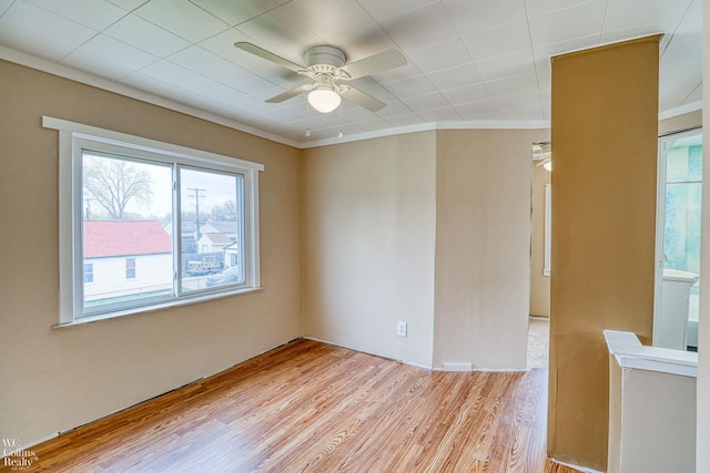 unfurnished room with crown molding, ceiling fan, and light wood-type flooring