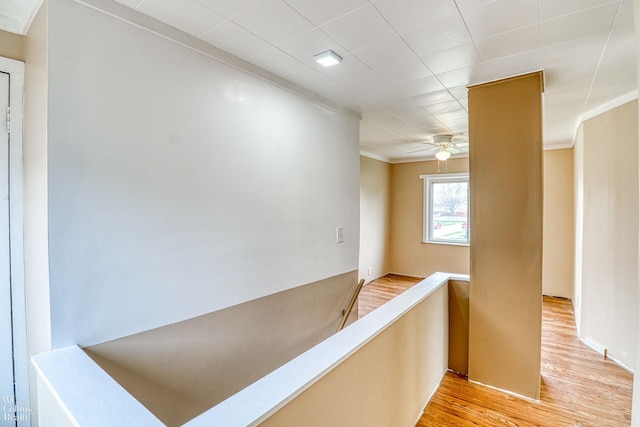 hallway featuring light hardwood / wood-style flooring