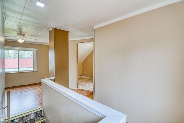 hall featuring crown molding and light hardwood / wood-style floors