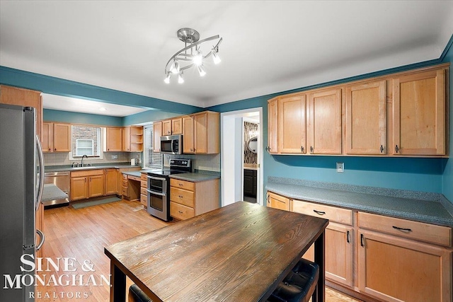 kitchen featuring stainless steel appliances, sink, and light hardwood / wood-style flooring