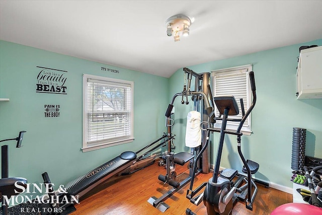 exercise room featuring hardwood / wood-style flooring