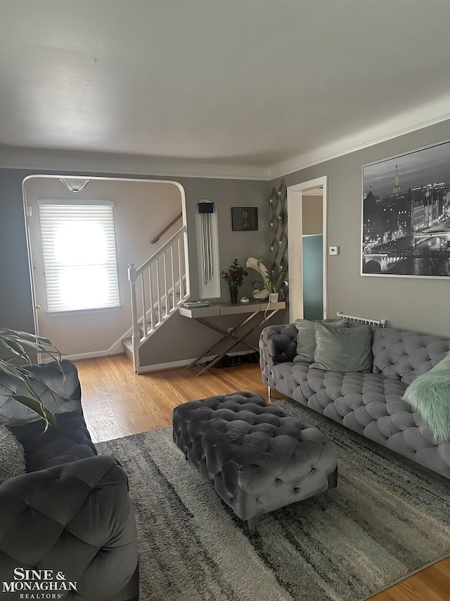 living room featuring hardwood / wood-style flooring