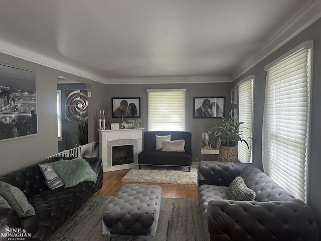 living room featuring a tiled fireplace, hardwood / wood-style flooring, and ornamental molding