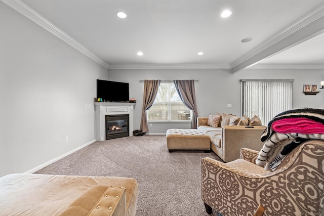 living room with crown molding and carpet