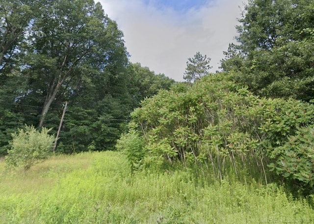 46368 82nd St, Coloma MI, 49038 land for sale