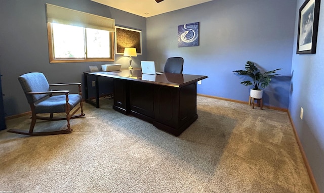 office area featuring carpet flooring