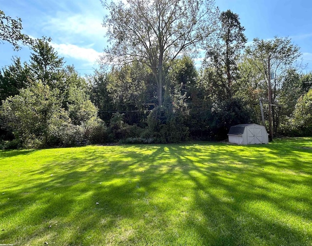 view of yard featuring a shed