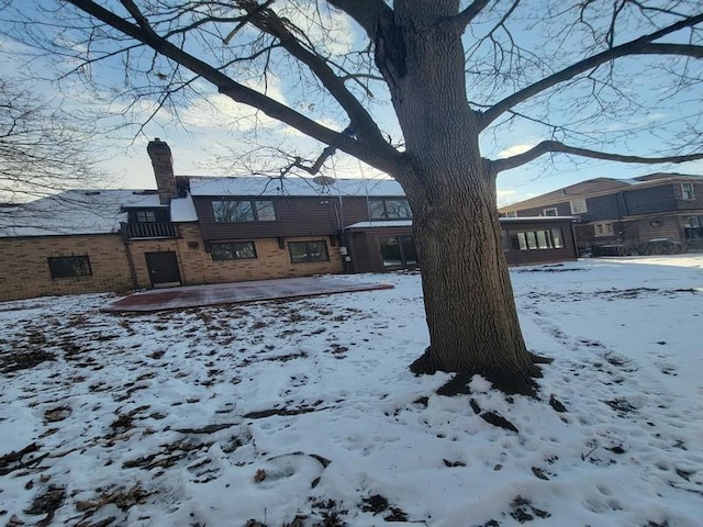 view of yard covered in snow