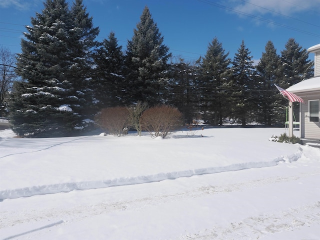 view of snowy yard