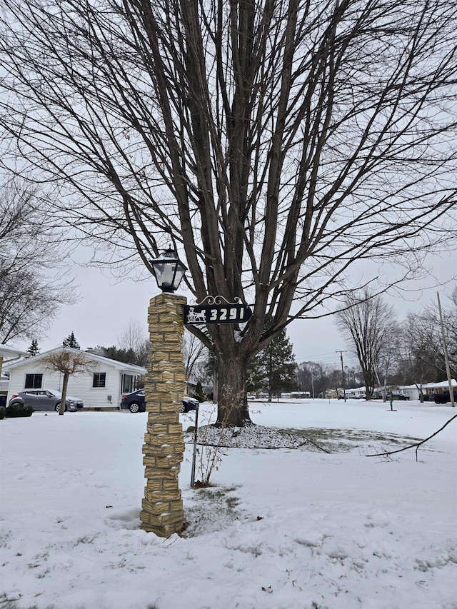 view of snowy yard