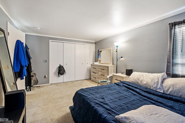 carpeted bedroom with ornamental molding and a closet