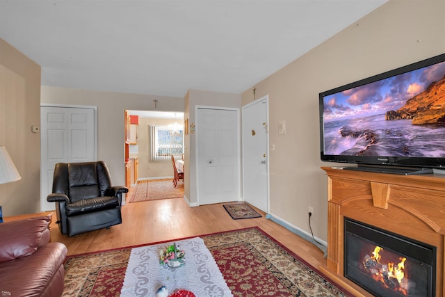 living room featuring light hardwood / wood-style flooring