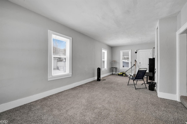 living area with carpet